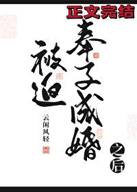 被迫奉子成婚之后无错免费阅读版