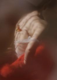 狐狸软木(校园1v1)